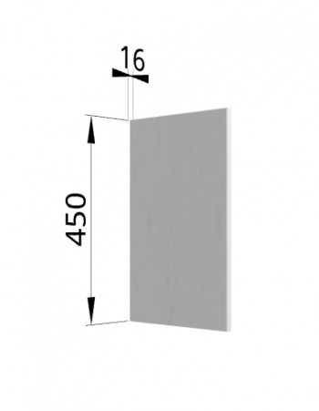 Панель торцевая (для шкафа горизонтального высокого) ВПГ Ройс (Графит софт) в Дудинке - dudinka.mebel54.com | фото